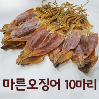 [동해식품상사] 마른 오징어(특대,대,중,소,소소)